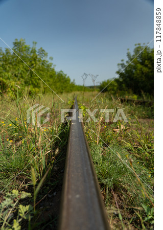 The railway rail is near, in the tall grass The railway rail is near, in the tall grass 117848859