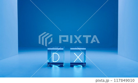 DXイメージ 117849010