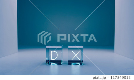 DXイメージ 117849012