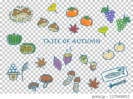 秋モチーフの手描きイラストセット 117849052