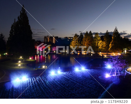 七北田公園（IZUMINATION2023）【宮城県仙台市】 117849220