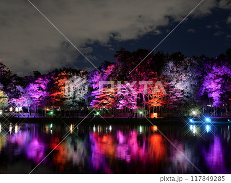 七北田公園（IZUMINATION2023）【宮城県仙台市】 117849285