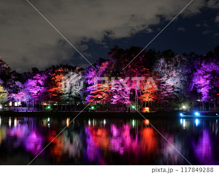 七北田公園（IZUMINATION2023）【宮城県仙台市】 117849288