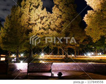 七北田公園（IZUMINATION2023）【宮城県仙台市】 117849556