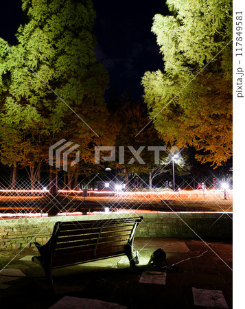 七北田公園（IZUMINATION2023）【宮城県仙台市】 117849581