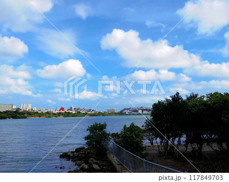 漫湖(沖縄県那覇市) 漫湖(沖縄県那覇市) 117849703