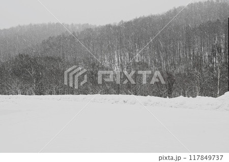 しんしんと降る雪景色 しんしんと降る雪景色 117849737