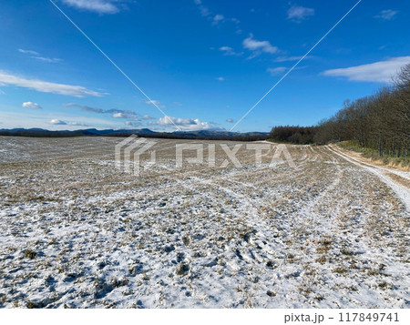 冬の青空と雪が残る牧草地 冬の青空と雪が残る牧草地 117849741