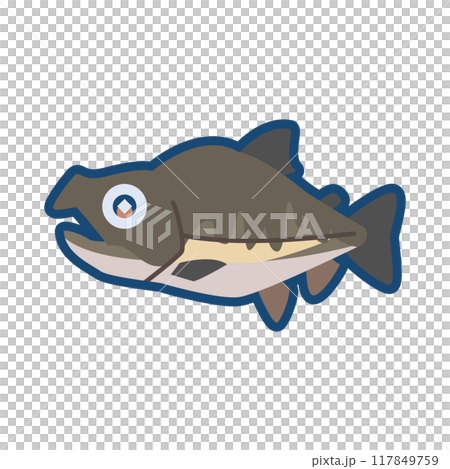 Cute pink salmon illustration 117849759