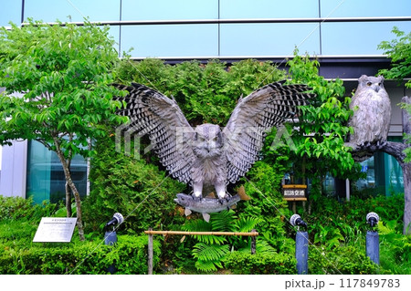 たんちょう釧路空港 たんちょう釧路空港 117849783