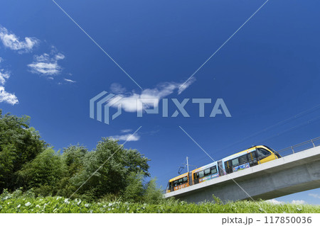 青空とライトレール 117850036