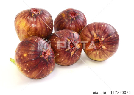 いちじく（越の雫） 117850070