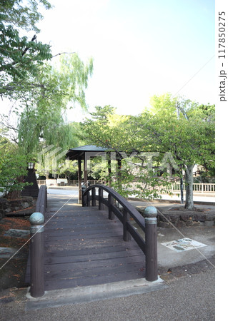 愛知県田原市 田原城址前の木橋と東屋 117850275