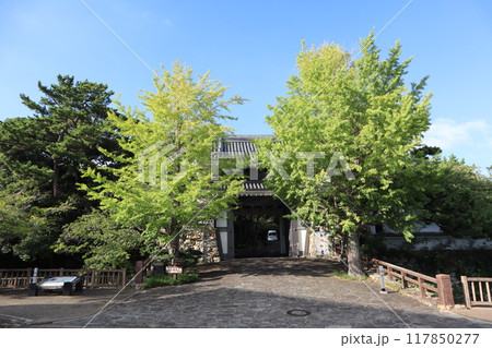 愛知県田原市 田原城址 桜門 愛知県田原市 田原城址 桜門 117850277