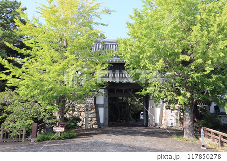 愛知県田原市 田原城址 桜門 117850278