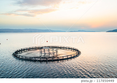 Fish farm at sunset on tranquil water, showcasing aquaculture practices and natural beauty. Fish farm at sunset on tranquil water, showcasing aquaculture practices and natural beauty. 117850449