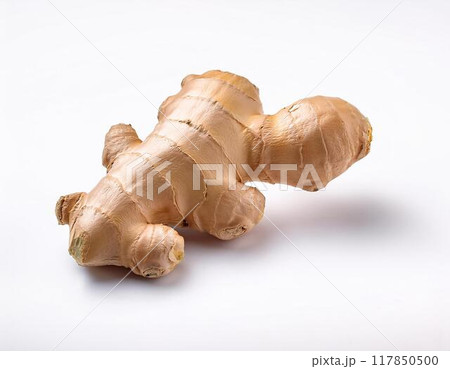 生姜 117850500