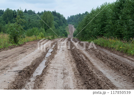 Dirt road through the forest 117850539