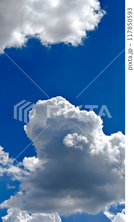 夏の雲（縦構図） 117850593