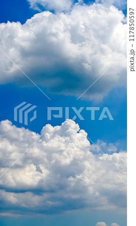 夏の雲（縦構図） 117850597