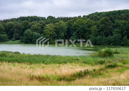 Green meadows and a water pond at the Danish countryside around Ugledige, Denmark 117850617