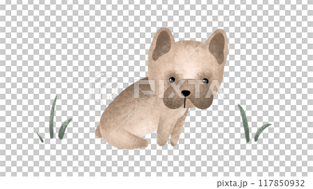 Cartoon animal dog for kids design . Hand drawn illustration of french bulldog and green grace on isolated background. Minimalist scandinavian style. Cute pets for children post or stickers Cartoon animal dog for kids design . Hand drawn illustration of french bulldog and green grace on isolated background. Minimalist scandinavian style. Cute pets for children post or stickers 117850932
