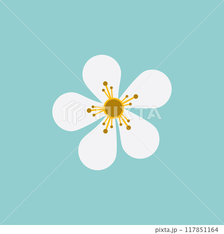 Plumeria flower logo icon 117851164