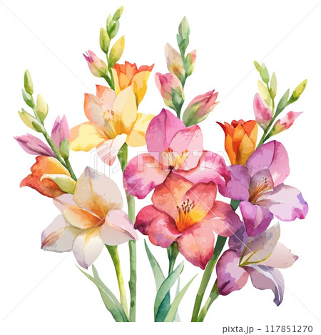 Watercolor Gladiolus Bouquet Watercolor Gladiolus Bouquet 117851270