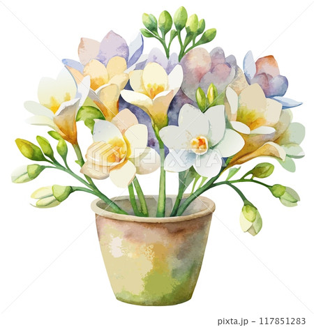 Watercolor Painting of Freesias in a Pot 117851283