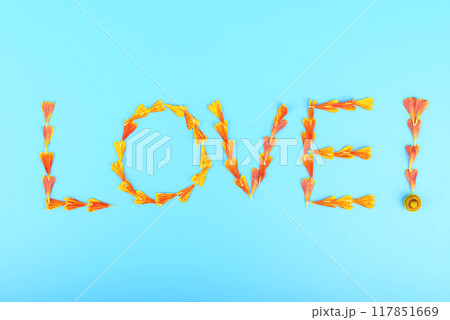 Close-up of the inscription LOVE with an exclamation mark made from Helenium flower petals on a blue background. Close-up of the inscription LOVE with an exclamation mark made from Helenium flower petals on a blue background. 117851669