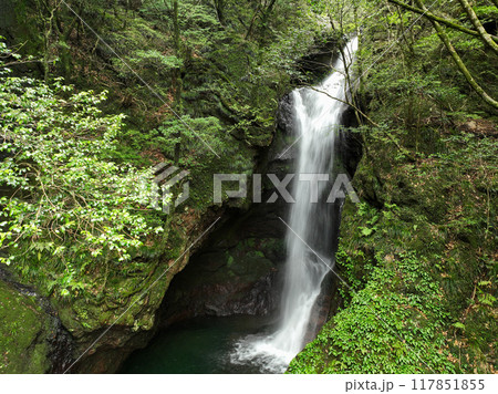 高知県南国市　瀬戸の滝 117851855