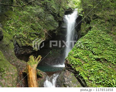 高知県南国市　瀬戸の滝 117851858