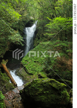 高知県南国市　瀬戸の滝 117851987