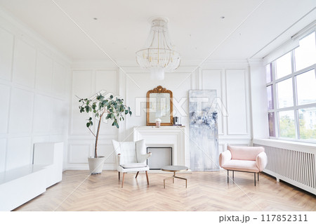 Interior design of the house with an elegant living room and a comfortable sofa, furniture. The floor covering is made of wooden material. With space to copy. High quality photo 117852311