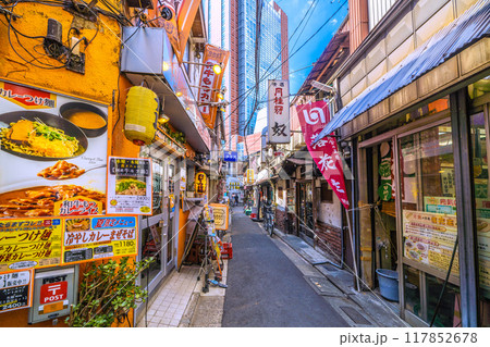 日本の東京都市景観 8月。三軒茶屋駅すぐの飲み屋街「三茶3番街」(三軒茶屋三角地帯)などを望む 日本の東京都市景観 8月。三軒茶屋駅すぐの飲み屋街「三茶3番街」(三軒茶屋三角地帯)などを望む 117852678