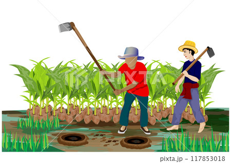 isolated agriculturist planting young coconuts vector design 117853018