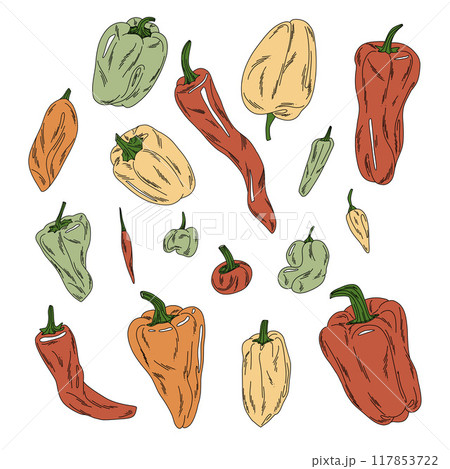 Flat vector peppers set, colorful sweet and spicy vegetables, for food designs, package, posters 117853722
