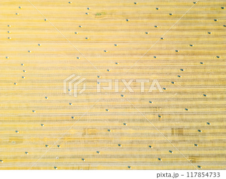 Aerial perspective captures neatly arranged hay bales in a golden field, showcasing the agricultural landscape during harvest season. Aerial perspective captures neatly arranged hay bales in a golden field, showcasing the agricultural landscape during harvest season. 117854733