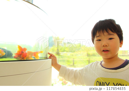 金魚と子供 金魚と子供 117854835