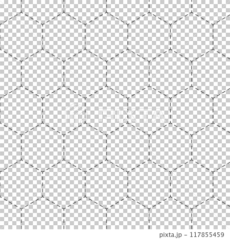 Simple dotted hexagon geometric pattern 117855459