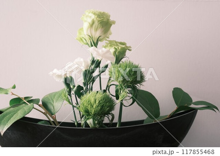 緑と白の生花、トルコキキョウ、ダイアンサス、手毬草、白、センター 緑と白の生花、トルコキキョウ、ダイアンサス、手毬草、白、センター 117855468