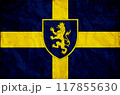 Flag of Invincible Ukraine. Free country of the world. 117855630