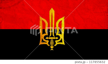 Flag of Invincible Ukraine. Free country of the world. 117855632