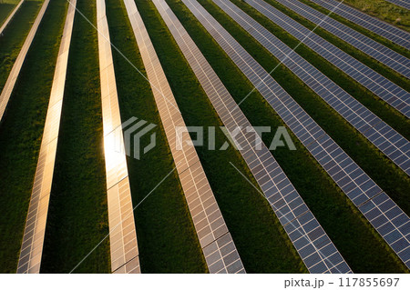 Sunlight reflecting on solar panels on farmland Sunlight reflecting on solar panels on farmland 117855697