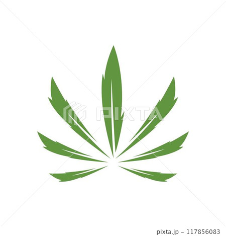 cannabis leaf logo Designs Inspiration Isolated on White Background cannabis leaf logo Designs Inspiration Isolated on White Background 117856083