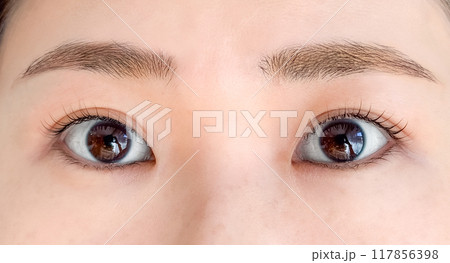 まつ毛パーマをした女性の目元 117856398