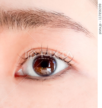 まつ毛パーマをした女性の目元 117856399