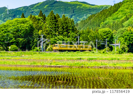 伯備線 新緑の水田を走る115系(根雨-黒坂) 伯備線 新緑の水田を走る115系(根雨-黒坂) 117856419