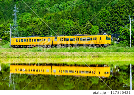 伯備線 新緑の水田を走る115系(根雨-黒坂) 伯備線 新緑の水田を走る115系(根雨-黒坂) 117856421