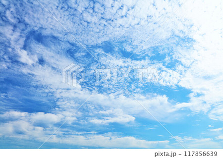 秋の青空と雲 秋の青空と雲 117856639